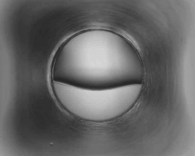 X0000102541136200808081045