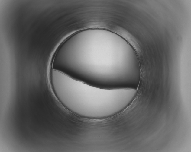 X0000102541140200808081045