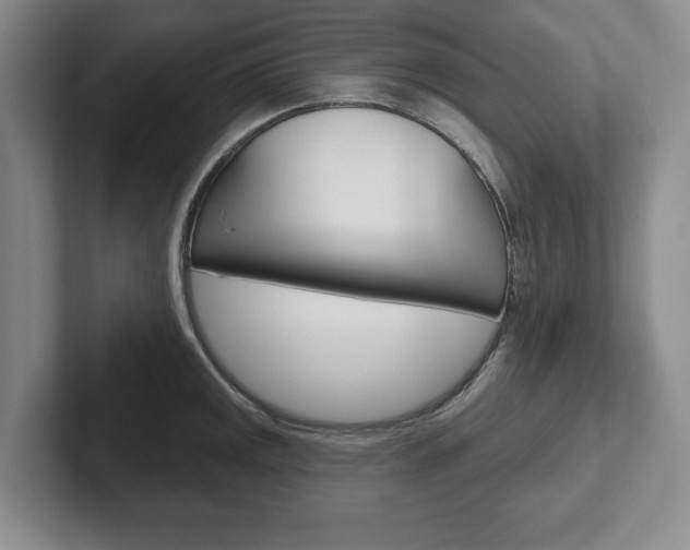 X0000102541141200808081045