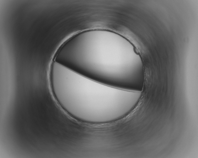 X0000102541142200808081045