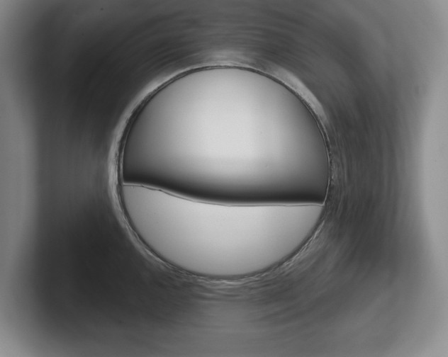 X0000102541144200808081045