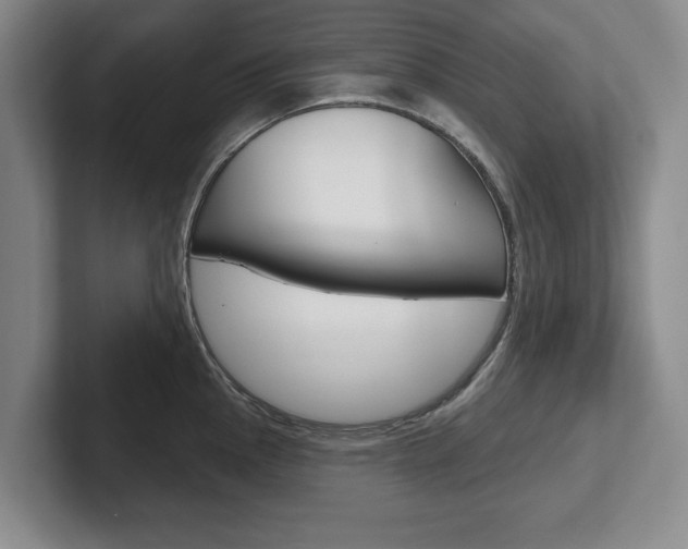 X0000102541145200808081045