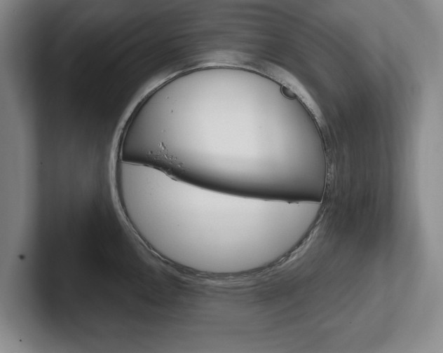 X0000102541146200808081045