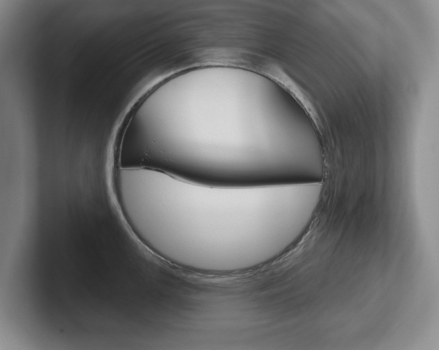 X0000102541147200808081045