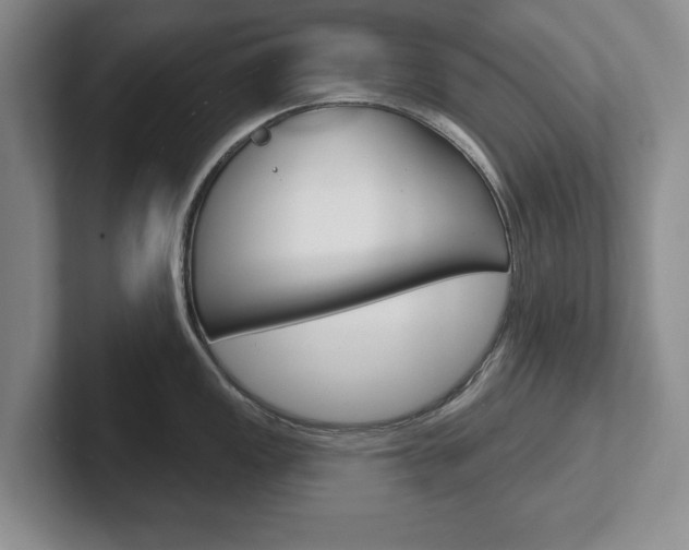 X0000102541149200808081045