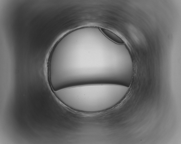 X0000102541151200808081045