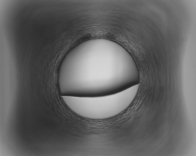 X0000102541153200808081044