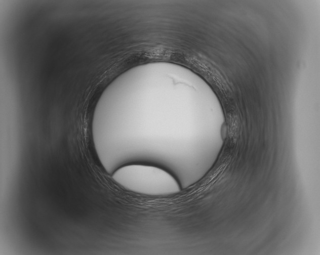 X0000102541154200808081044