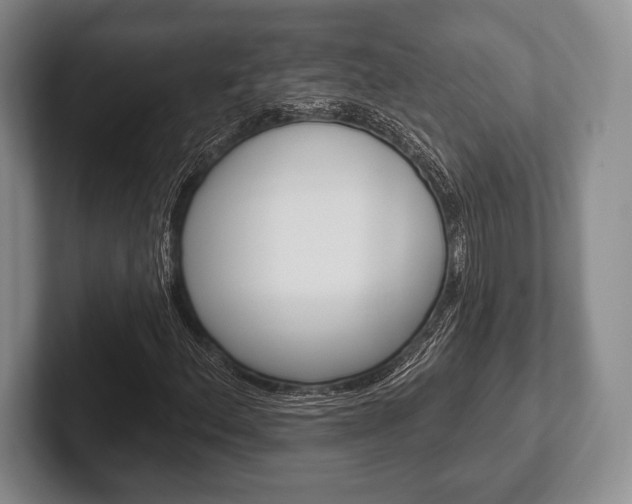 X0000102541156200808081044