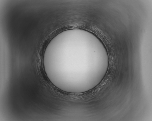X0000102541158200808081044