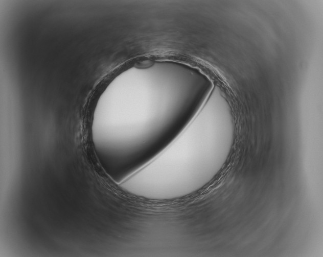 X0000102541160200808081044