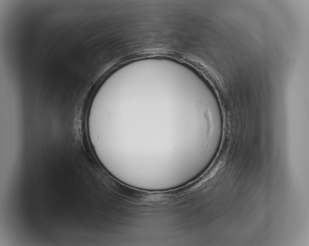 X0000102541162200808081044