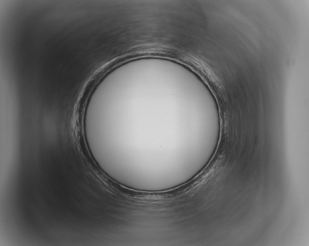 X0000102541164200808081044