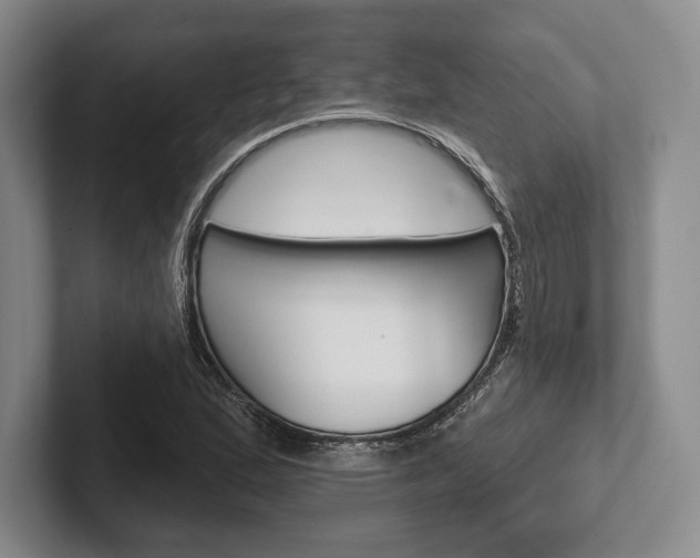 X0000102541167200808081044