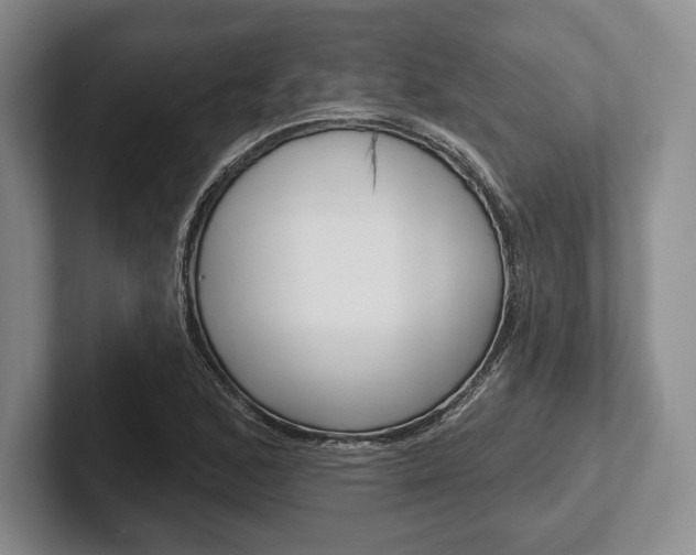 X0000102541168200808081044