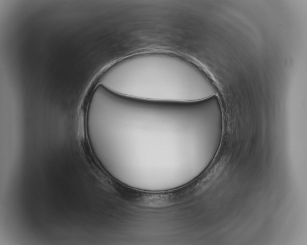 X0000102541171200808081044