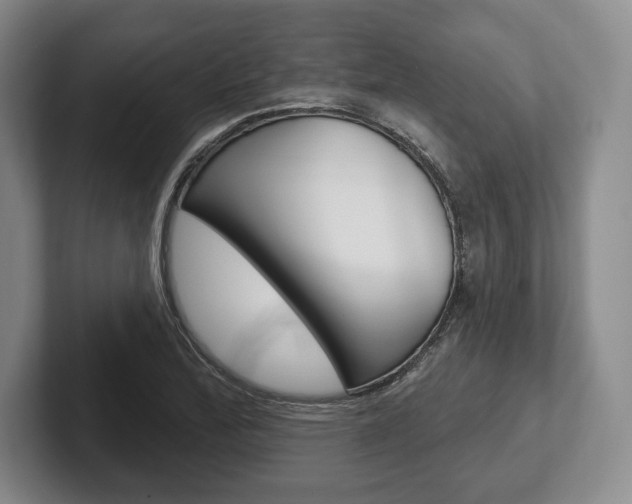 X0000102541172200808081044