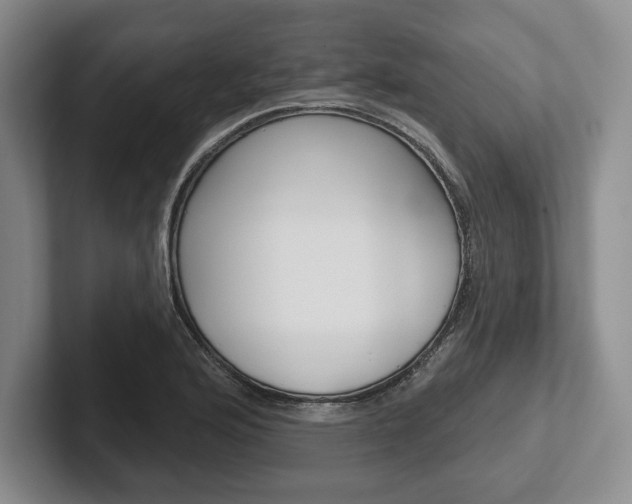 X0000102541176200808081044