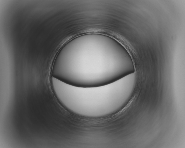 X0000102541177200808081044