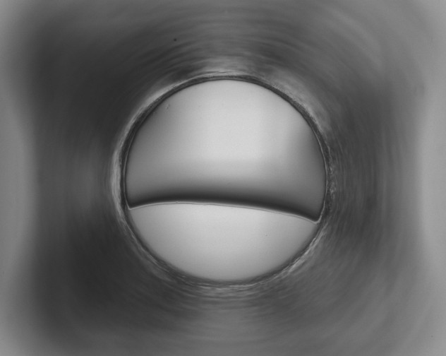 X0000102541179200808081044
