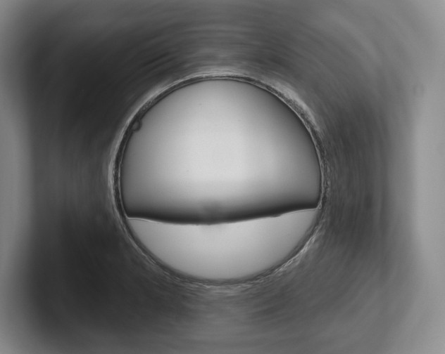 X0000102541181200808081044