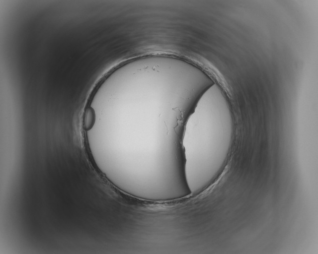 X0000102541182200808081044
