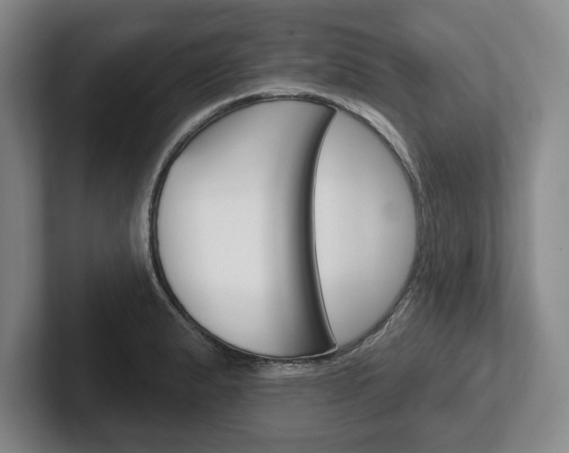 X0000102541183200808081044
