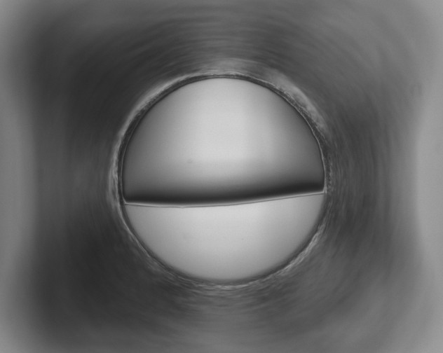 X0000102541184200808081044