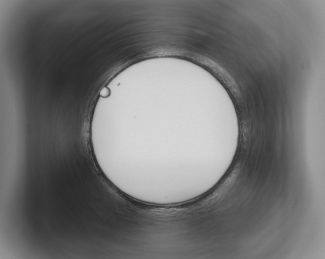 X0000102541185200808081044