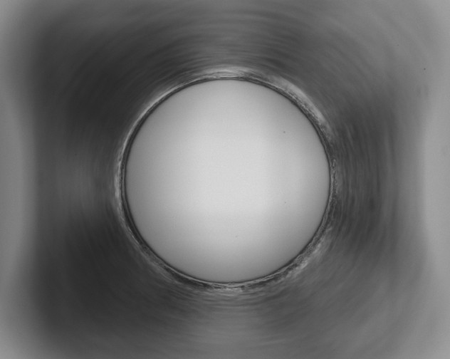 X0000102541186200808081044