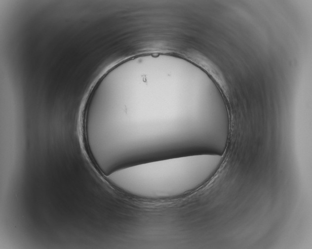 X0000102541187200808081044