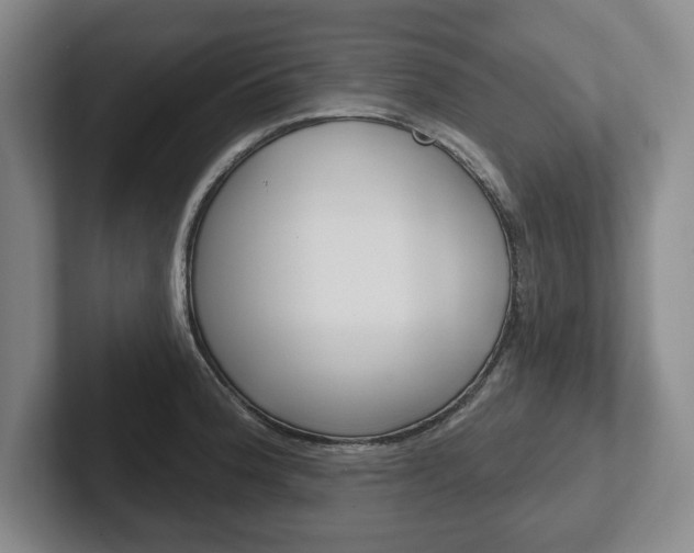X0000102541188200808081044