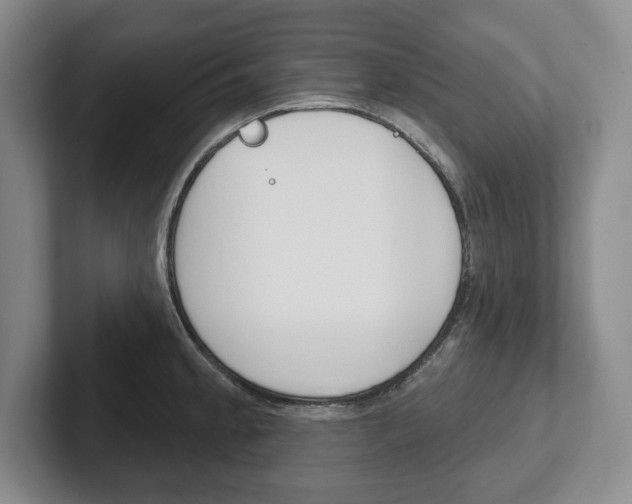X0000102541189200808081044