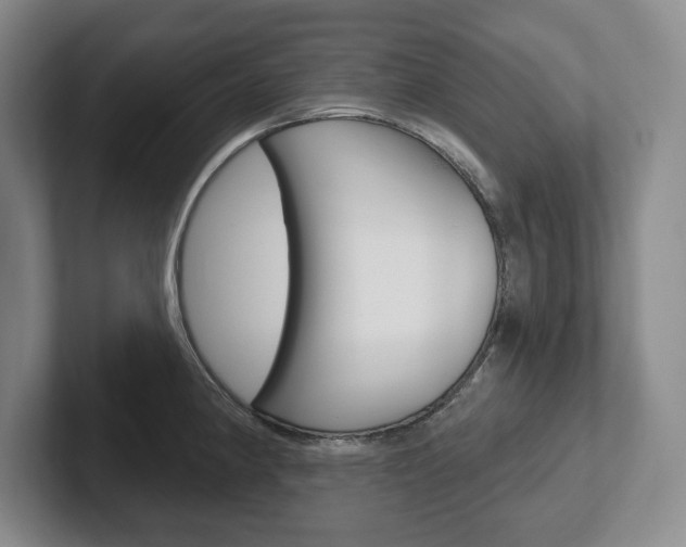 X0000102541190200808081044