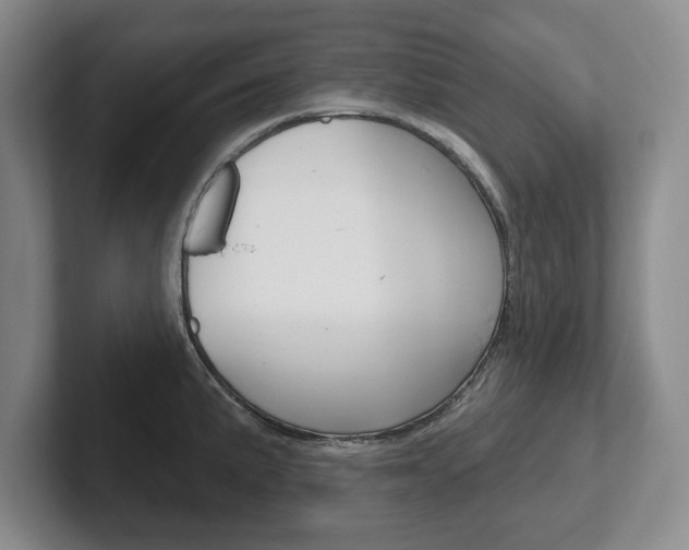 X0000102541191200808081044