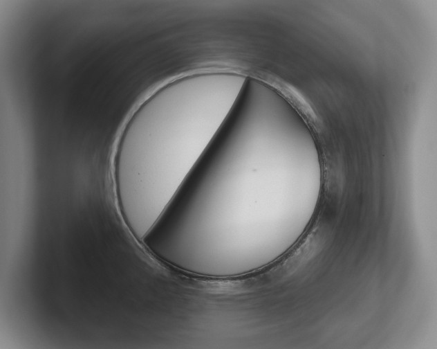 X0000102541192200808081044