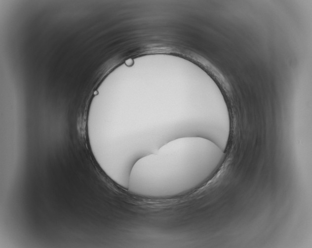 X0000102541193200808081044