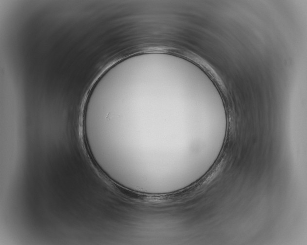 X0000102541194200808081044