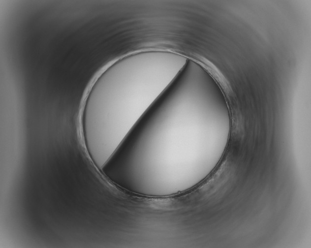 X0000102541196200808081044