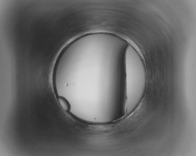 X0000102541197200808081044