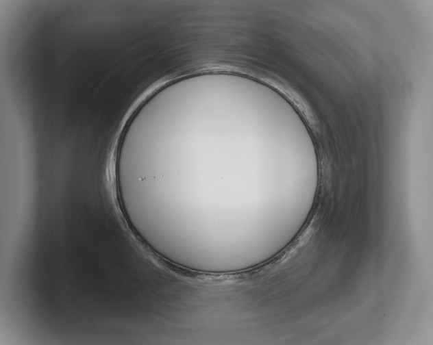 X0000102541198200808081044