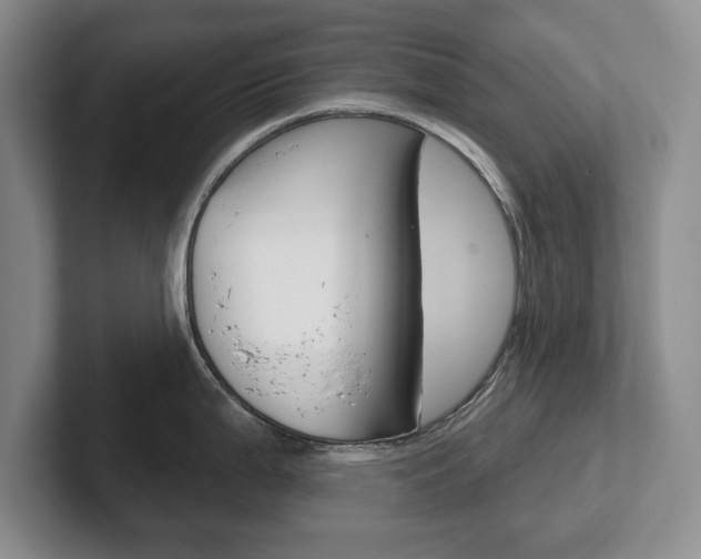 X0000102541199200808081043
