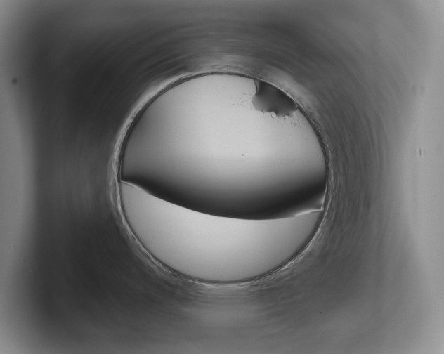 X0000102541200200808081043