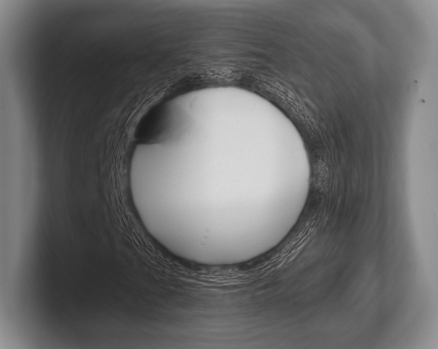X0000102541201200808081043