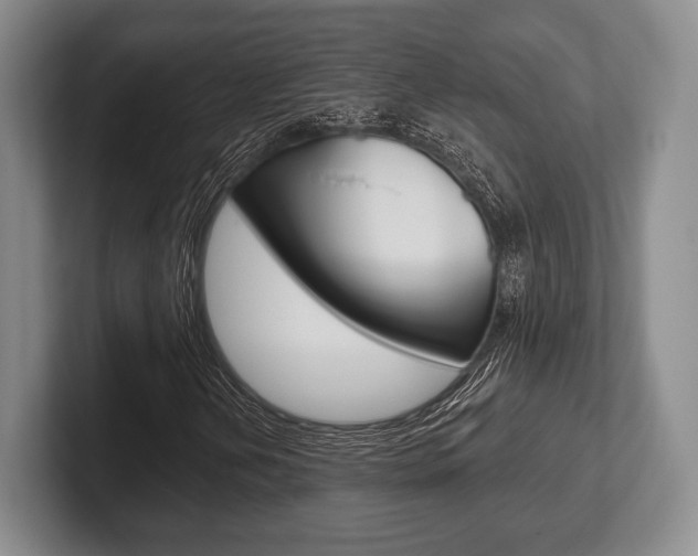 X0000102541202200808081043