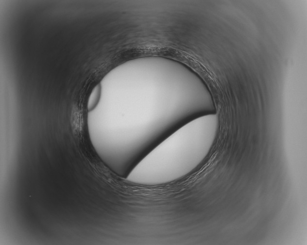 X0000102541204200808081043