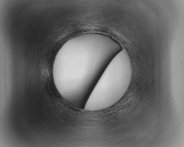 X0000102541206200808081043