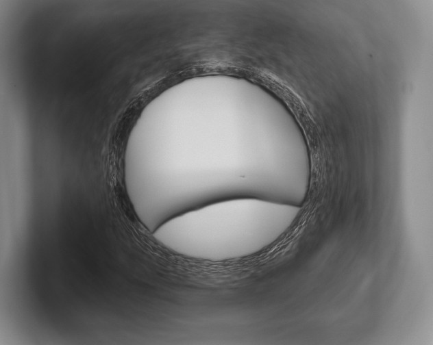 X0000102541207200808081043