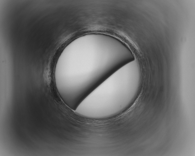 X0000102541213200808081043