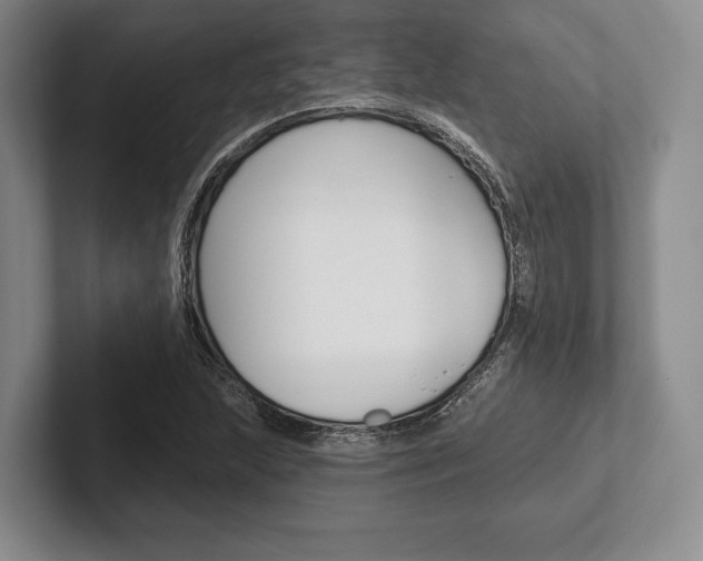 X0000102541215200808081043